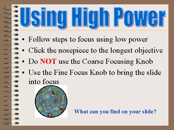  • • Follow steps to focus using low power Click the nosepiece to