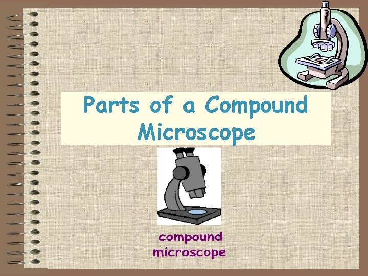 Parts of a Compound Microscope 