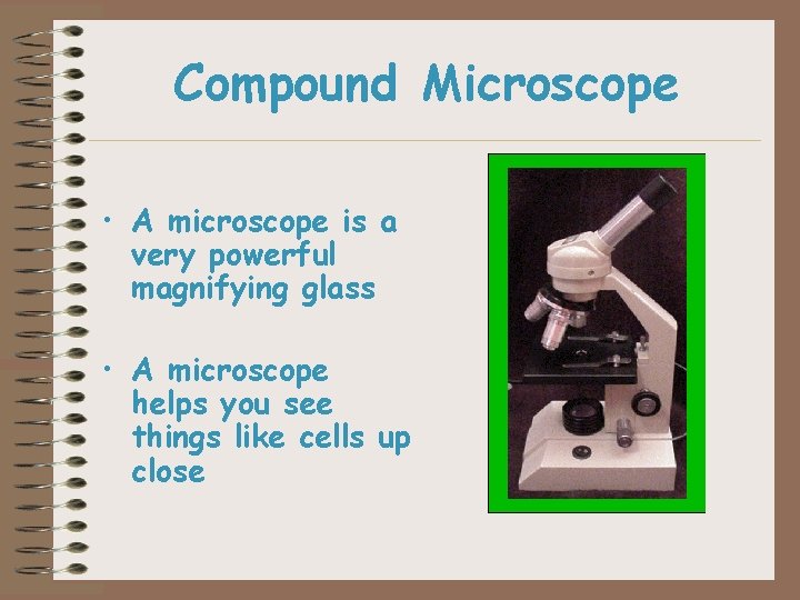 Compound Microscope • A microscope is a very powerful magnifying glass • A microscope