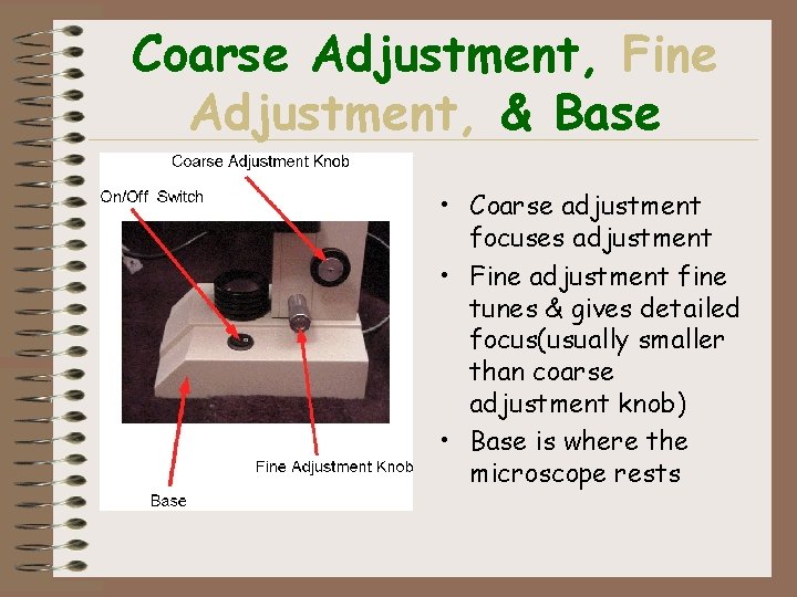 Coarse Adjustment, Fine Adjustment, & Base • Coarse adjustment focuses adjustment • Fine adjustment