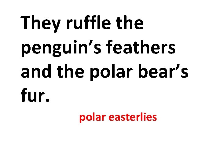 They ruffle the penguin’s feathers and the polar bear’s fur. polar easterlies They ruffle the penguin’s feathers and the polar bear’s fur. polar easterlies