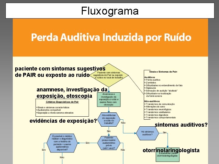 Protocolo de PAIR Fluxograma. Estratégias para Implementação Raul Nielsen Ibañez CEREST RS paciente com