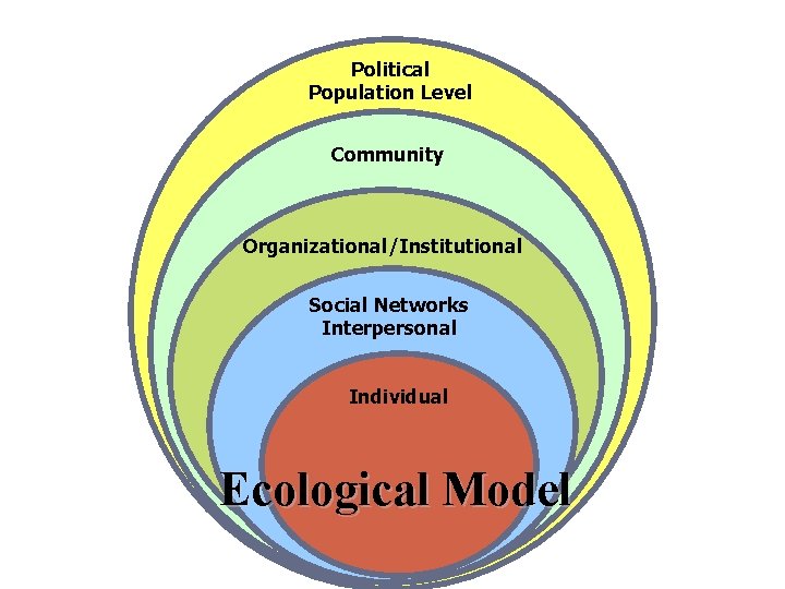 Political Population Level Community Organizational/Institutional Framework: Social Networks Interpersonalof Health Social Determinants Individual Ecological