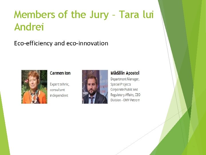 Members of the Jury – Tara lui Andrei Eco-efficiency and eco-innovation 54 