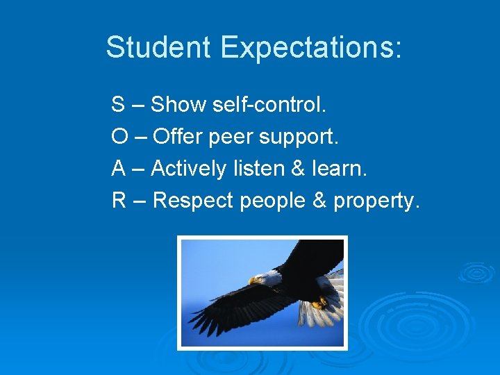 Student Expectations: S – Show self-control. O – Offer peer support. A – Actively