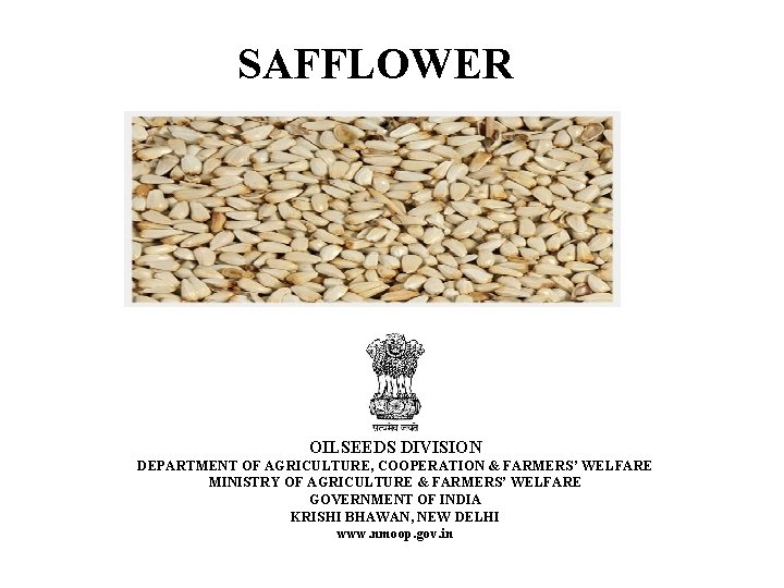  SAFFLOWER OILSEEDS DIVISION DEPARTMENT OF AGRICULTURE, COOPERATION & FARMERS’ WELFARE MINISTRY OF AGRICULTURE