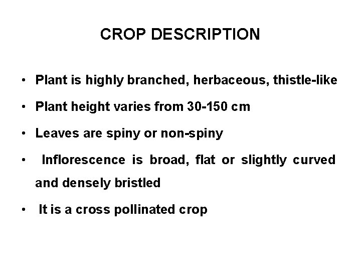 CROP DESCRIPTION • Plant is highly branched, herbaceous, thistle-like • Plant height varies from