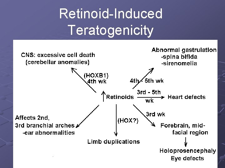 Retinoid-Induced Teratogenicity 