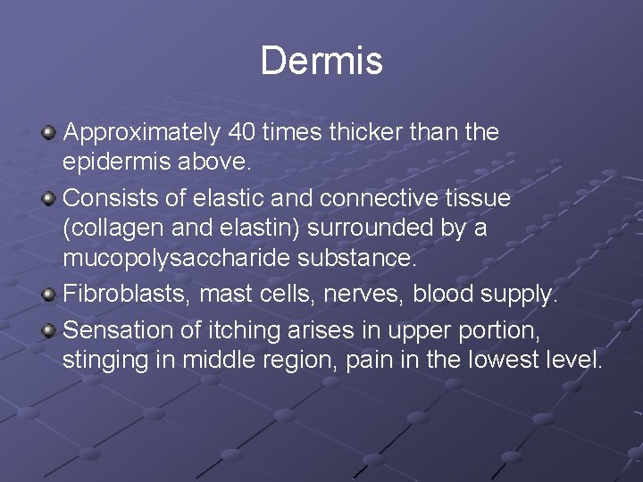 Dermis Approximately 40 times thicker than the epidermis above. Consists of elastic and connective