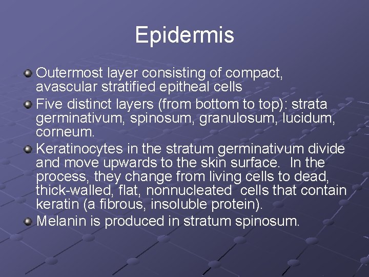 Epidermis Outermost layer consisting of compact, avascular stratified epitheal cells Five distinct layers (from