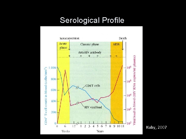 Serological Profile Kuby, 2007 