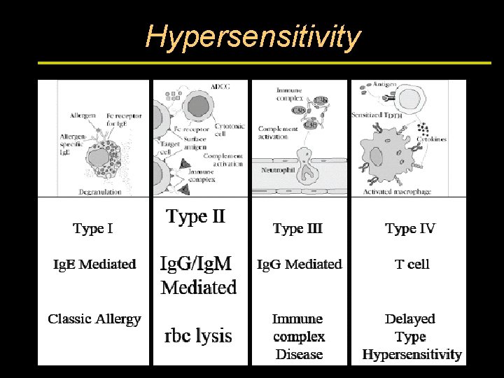Hypersensitivity 