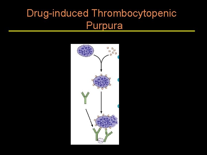Drug-induced Thrombocytopenic Purpura 