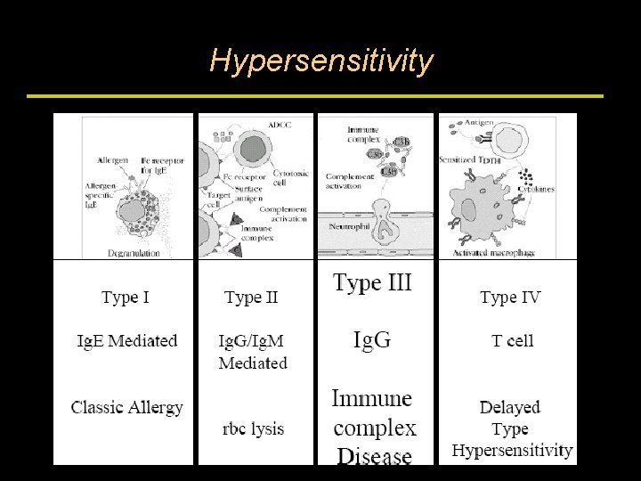 Hypersensitivity 