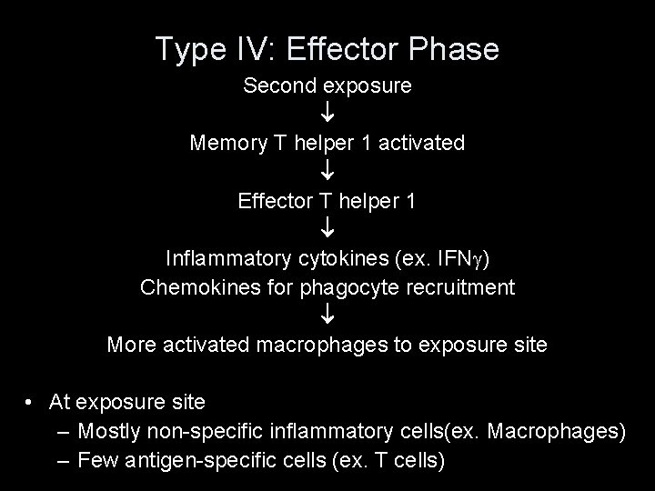 Type IV: Effector Phase Second exposure Memory T helper 1 activated Effector T helper