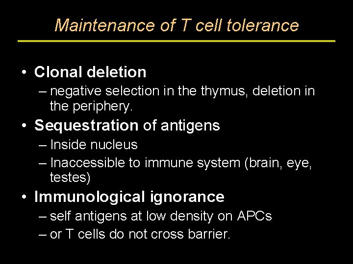 Maintenance of T cell tolerance • Clonal deletion – negative selection in the thymus,