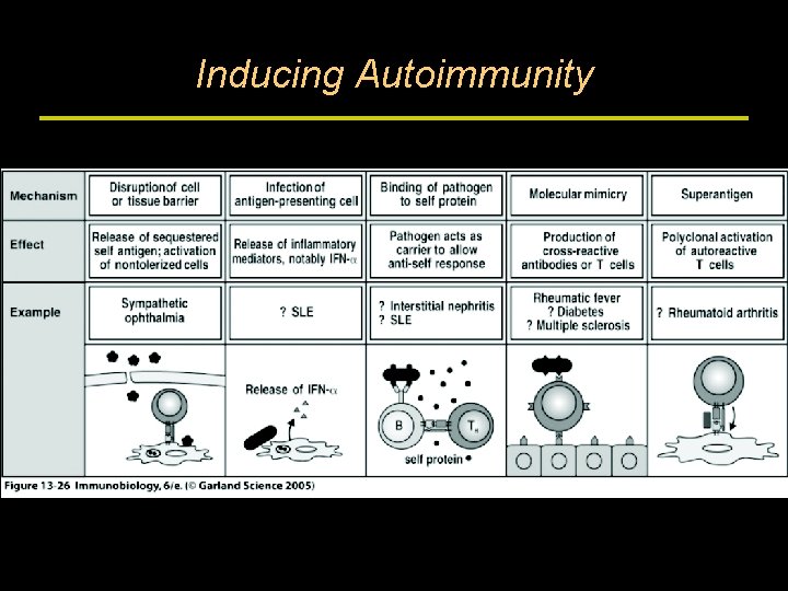 Inducing Autoimmunity 