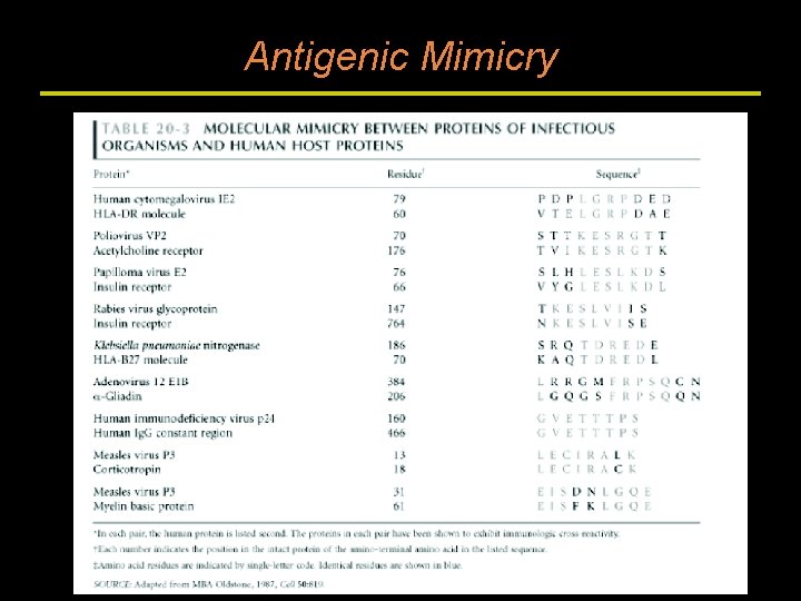 Antigenic Mimicry 