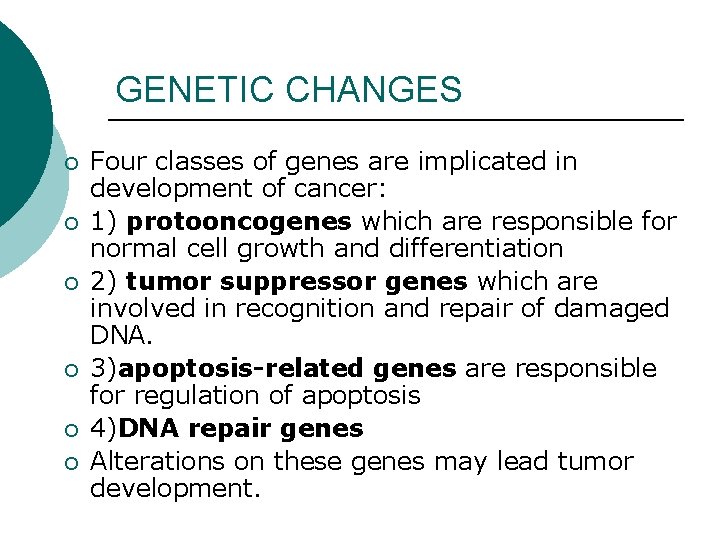 GENETIC CHANGES ¡ ¡ ¡ Four classes of genes are implicated in development of