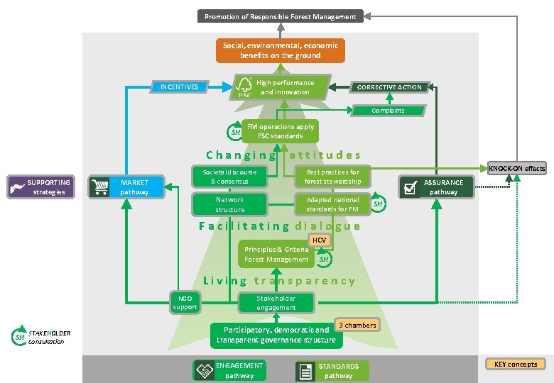 Promotion of Responsible Forest Management Social, environmental, economic benefits on the ground High performance