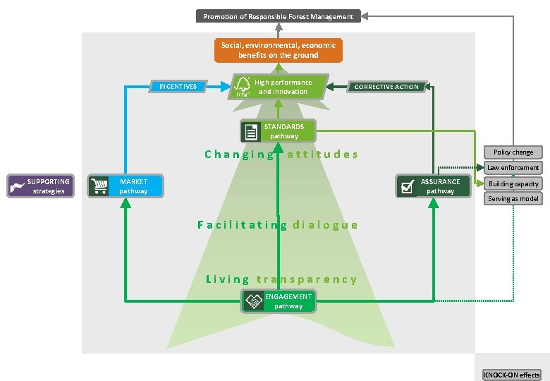 Promotion of Responsible Forest Management Social, environmental, economic benefits on the ground INCENTIVES High