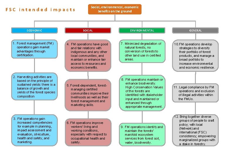 FSC intended impacts ECONOMIC 1. Forest management (FM) operations gain market advantages through certification.