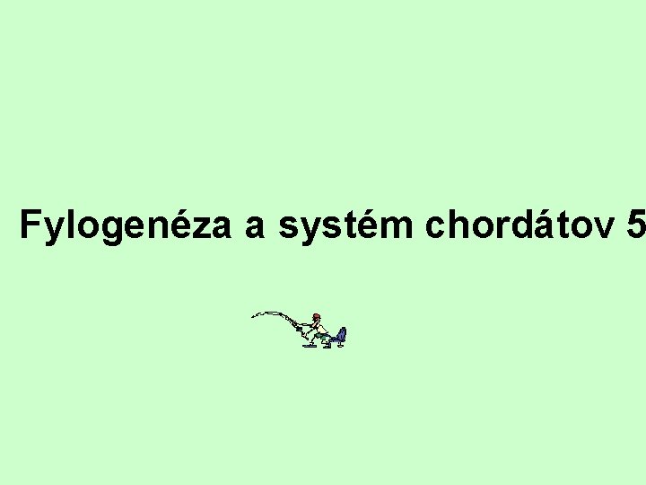 Fylogenéza a systém chordátov 5 