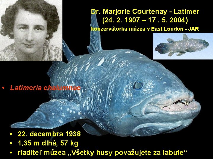 Dr. Marjorie Courtenay - Latimer (24. 2. 1907 – 17. 5. 2004) konzervátorka múzea