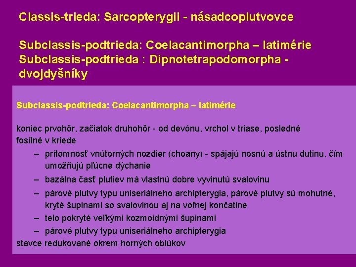 Classis-trieda: Sarcopterygii - násadcoplutvovce Subclassis-podtrieda: Coelacantimorpha – latimérie Subclassis-podtrieda : Dipnotetrapodomorpha dvojdyšníky Subclassis-podtrieda: Coelacantimorpha