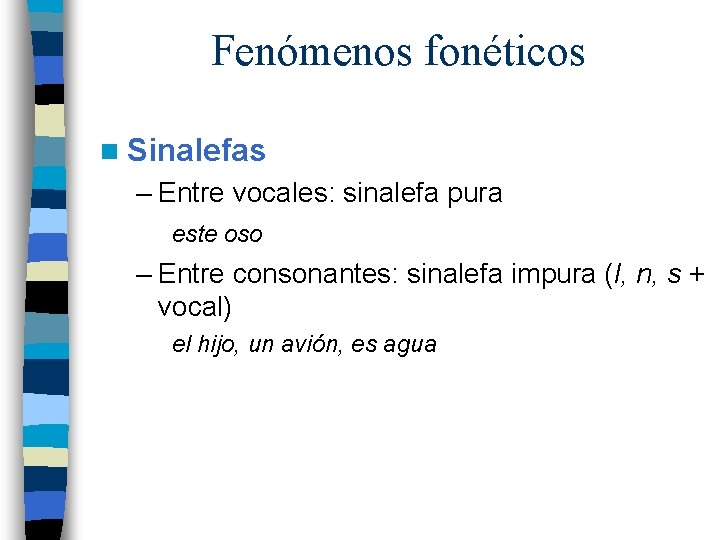 Fenómenos fonéticos n Sinalefas – Entre vocales: sinalefa pura este oso – Entre consonantes: