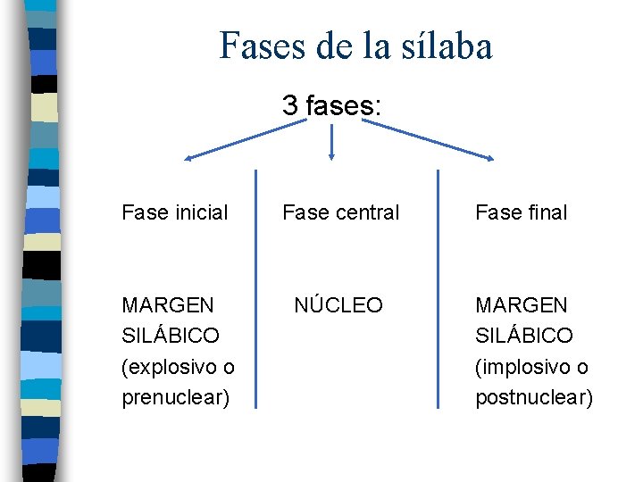 Fases de la sílaba 3 fases: Fase inicial Fase central MARGEN SILÁBICO (explosivo o