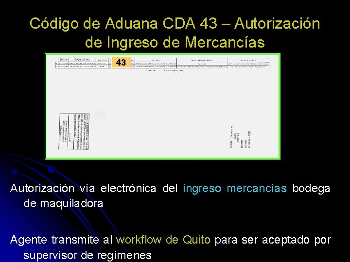 Código de Aduana CDA 43 – Autorización de Ingreso de Mercancías 43 Autorización vía