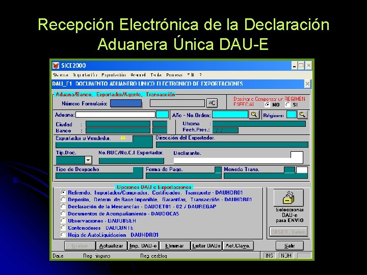 Recepción Electrónica de la Declaración Aduanera Única DAU-E 