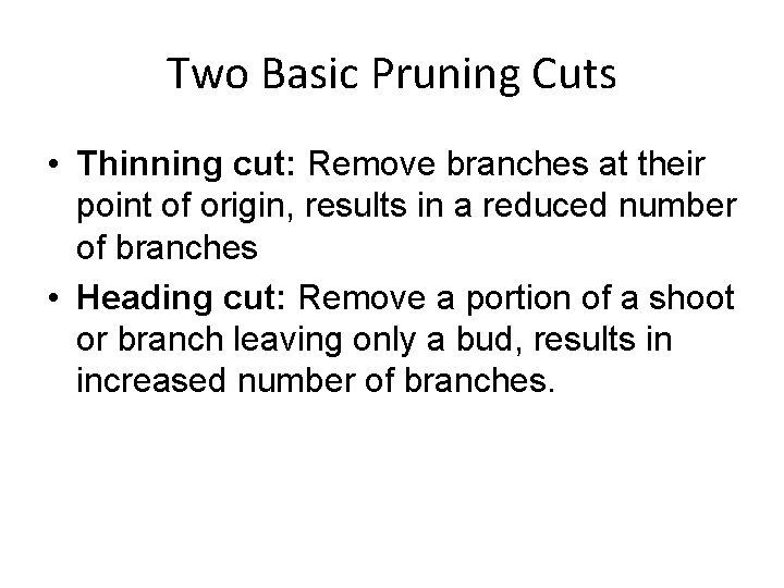 Two Basic Pruning Cuts • Thinning cut: Remove branches at their point of origin,