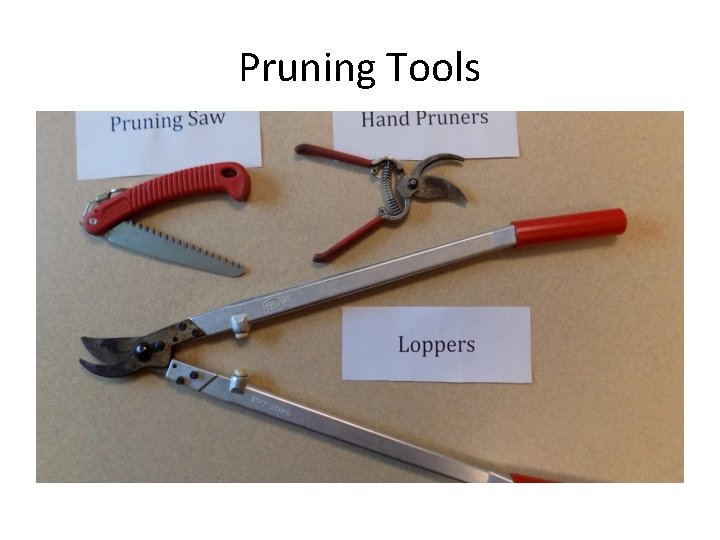 Pruning Tools 