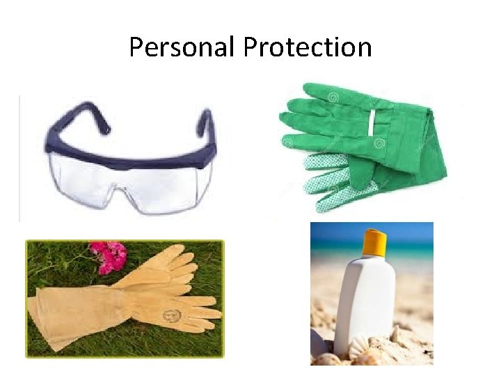 Personal Protection 