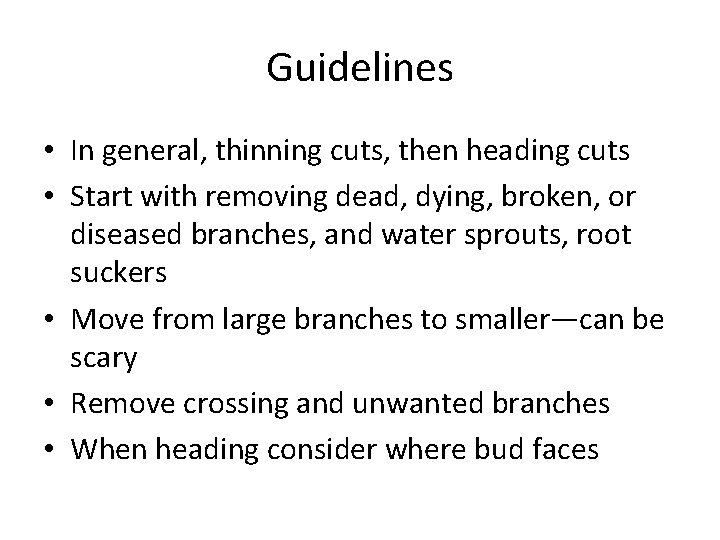 Guidelines • In general, thinning cuts, then heading cuts • Start with removing dead,