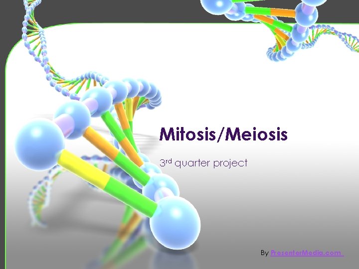 Mitosis/Meiosis 3 rd quarter project By Presenter. Media. com 