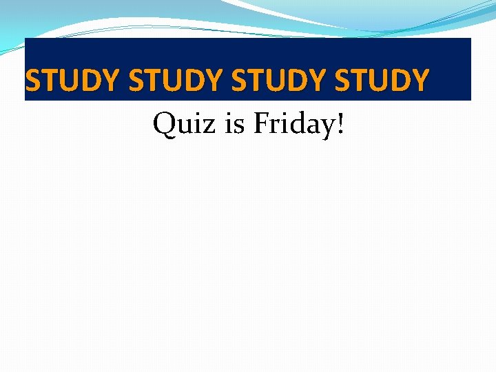 STUDY Quiz is Friday! 