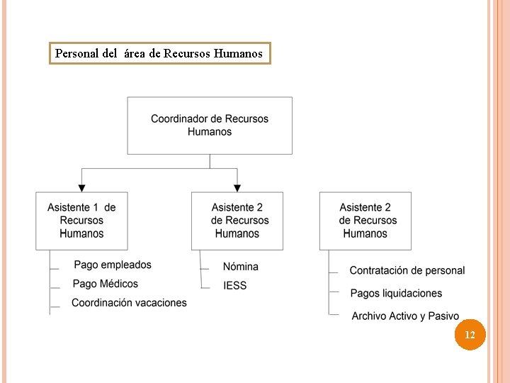 Personal del área de Recursos Humanos 12 