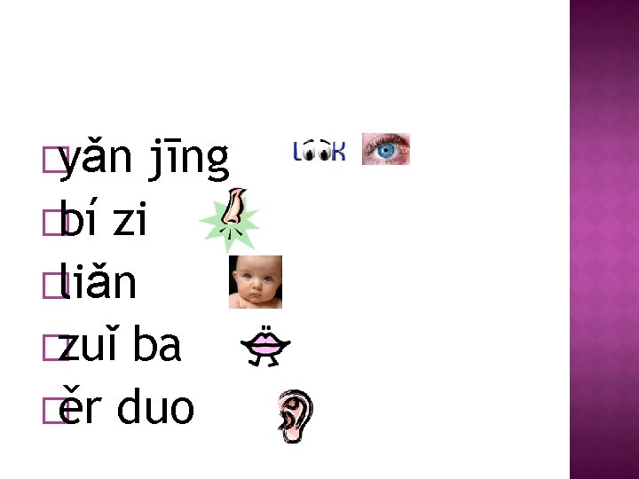 �yǎn jīng �bí zi �liǎn �zuǐ ba �ěr duo 