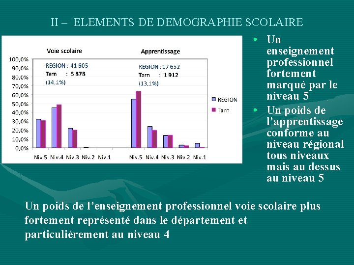 II – ELEMENTS DE DEMOGRAPHIE SCOLAIRE • Un enseignement professionnel fortement marqué par le