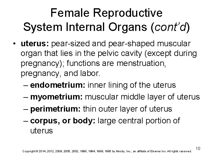 Female Reproductive System Internal Organs (cont’d) • uterus: pear-sized and pear-shaped muscular organ that Female Reproductive System Internal Organs (cont’d) • uterus: pear-sized and pear-shaped muscular organ that