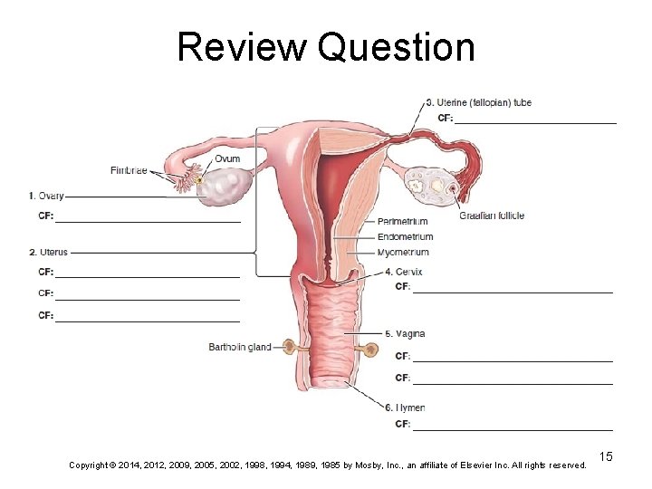 Review Question Copyright © 2014, 2012, 2009, 2005, 2002, 1998, 1994, 1989, 1985 by Review Question Copyright © 2014, 2012, 2009, 2005, 2002, 1998, 1994, 1989, 1985 by