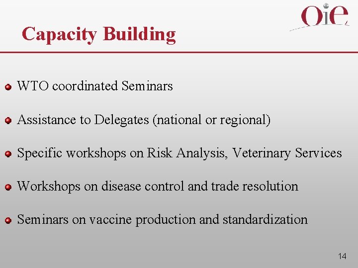Capacity Building WTO coordinated Seminars Assistance to Delegates (national or regional) Specific workshops on