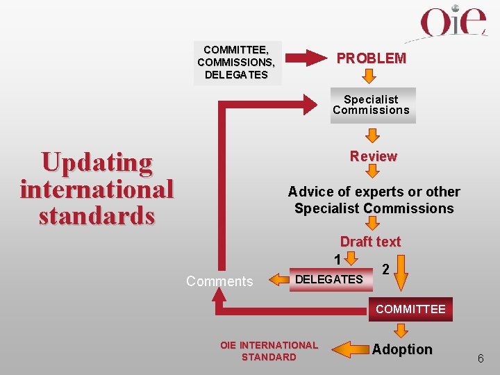 COMMITTEE, COMMISSIONS, DELEGATES PROBLEM Specialist Commissions Updating international standards Review Advice of experts or