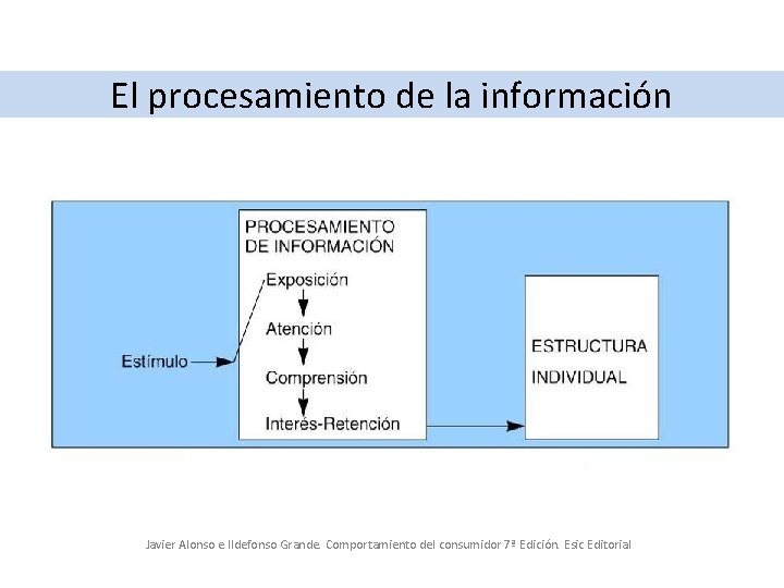 El procesamiento de la información Javier Alonso e Ildefonso Grande. Comportamiento del consumidor 7ª