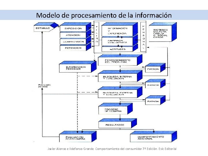 Modelo de procesamiento de la información Javier Alonso e Ildefonso Grande. Comportamiento del consumidor