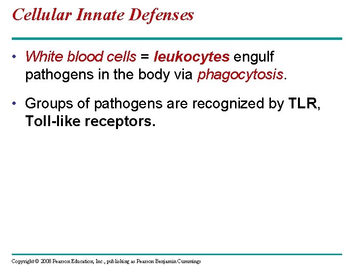 Cellular Innate Defenses • White blood cells = leukocytes engulf pathogens in the body
