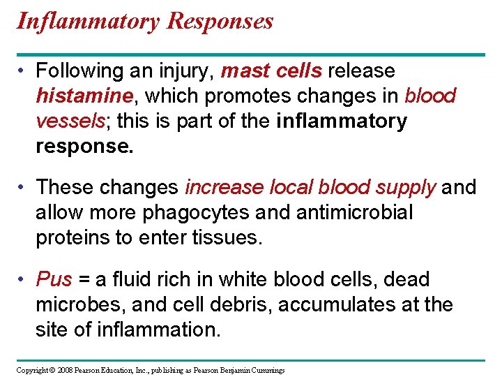 Inflammatory Responses • Following an injury, mast cells release histamine, which promotes changes in